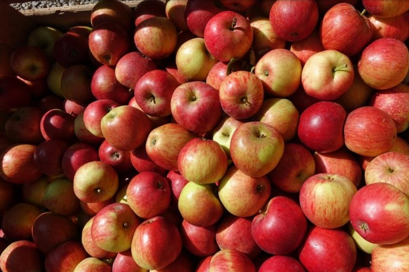 Fruival