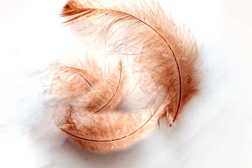 KERA Plumes